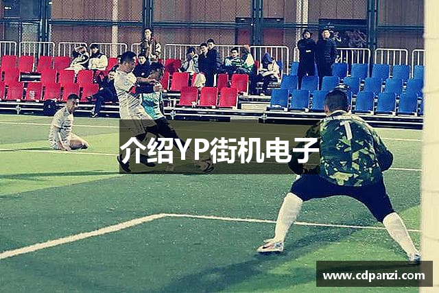 介绍YP街机电子